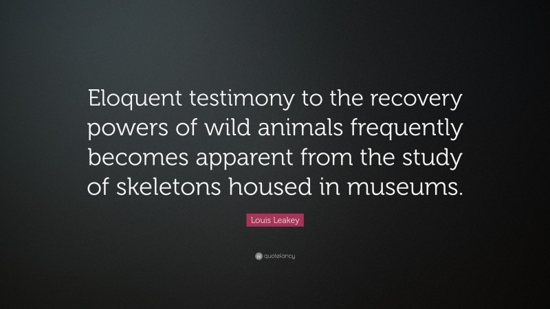Louis Leakey Quote: “Eloquent testimony to the recovery powers of wild animals frequently becomes apparent from the study of skeletons housed in museums.”