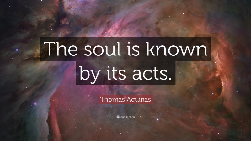 Thomas Aquinas Quote: “The soul is known by its acts.”