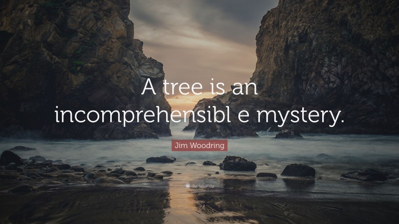 Jim Woodring Quote: “A tree is an incomprehensibl e mystery.”