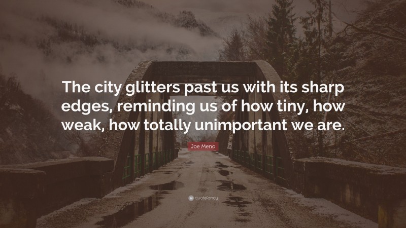 Joe Meno Quote: “The city glitters past us with its sharp edges, reminding us of how tiny, how weak, how totally unimportant we are.”