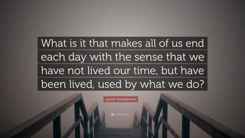 Jacob Needleman Quote: “What is it that makes all of us end each day with the sense that we have not lived our time, but have been lived, used by what we do?”
