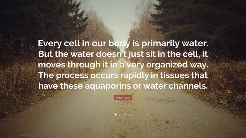 Peter Agre Quote: “Every cell in our body is primarily water. But the water doesn’t just sit in the cell, it moves through it in a very organized way. The process occurs rapidly in tissues that have these aquaporins or water channels.”