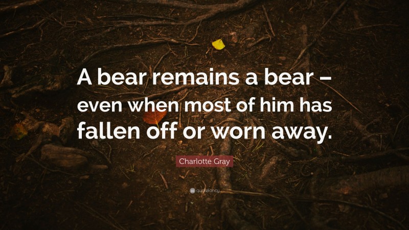 Charlotte Gray Quote: “A bear remains a bear – even when most of him has fallen off or worn away.”