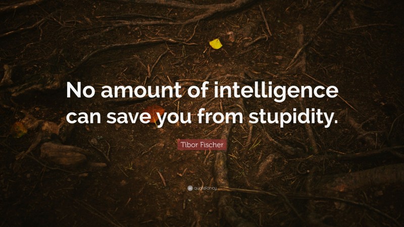Tibor Fischer Quote: “No amount of intelligence can save you from stupidity.”