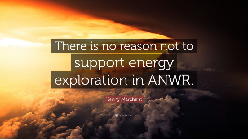 Kenny Marchant Quote: “There is no reason not to support energy exploration in ANWR.”