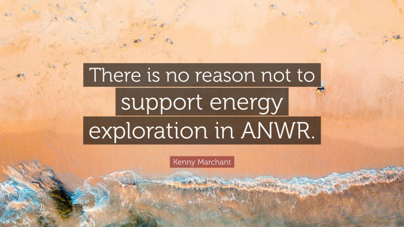 Kenny Marchant Quote: “There is no reason not to support energy exploration in ANWR.”