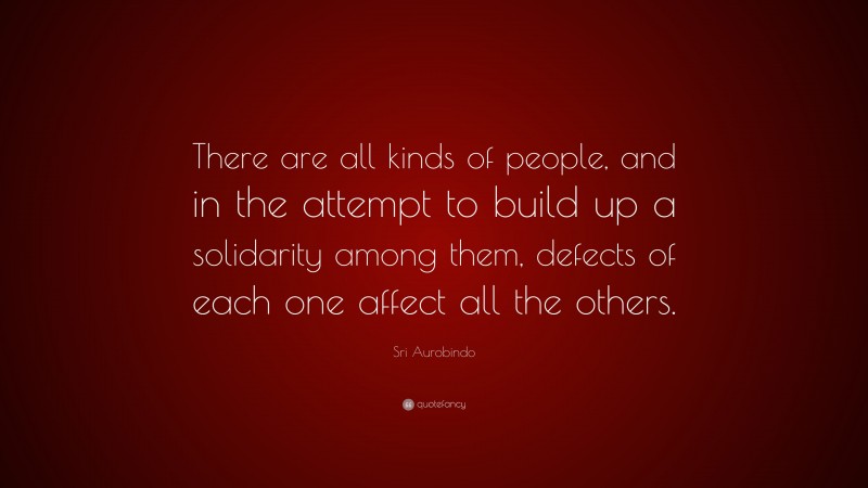 Sri Aurobindo Quote: “There are all kinds of people, and in the attempt to build up a solidarity among them, defects of each one affect all the others.”