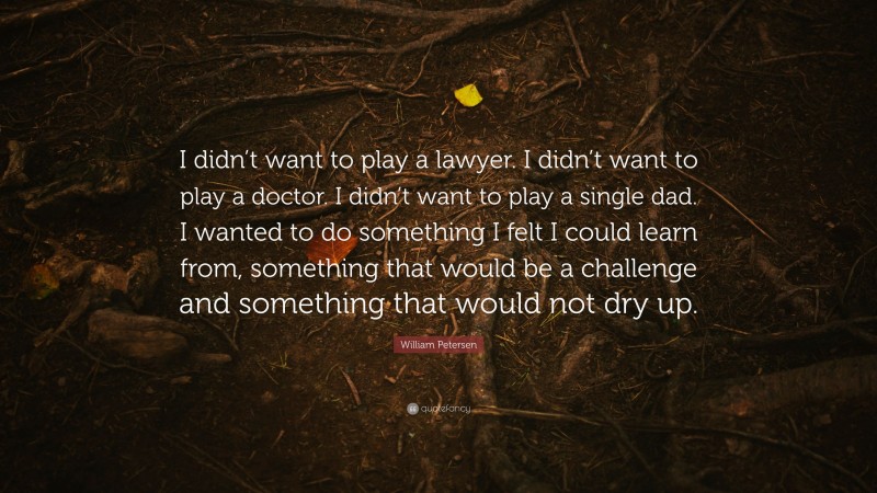 William Petersen Quote: “I didn’t want to play a lawyer. I didn’t want to play a doctor. I didn’t want to play a single dad. I wanted to do something I felt I could learn from, something that would be a challenge and something that would not dry up.”