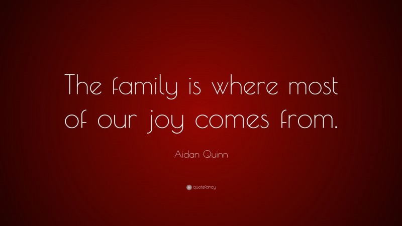 Aidan Quinn Quote: “The family is where most of our joy comes from.”