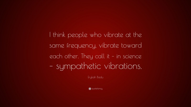 Erykah Badu Quote: “I think people who vibrate at the same frequency, vibrate toward each other. They call it – in science – sympathetic vibrations.”