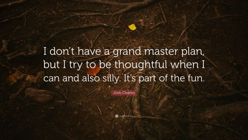 Josh Charles Quote: “I don’t have a grand master plan, but I try to be thoughtful when I can and also silly. It’s part of the fun.”