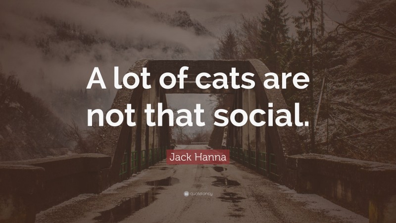 Jack Hanna Quote: “A lot of cats are not that social.”