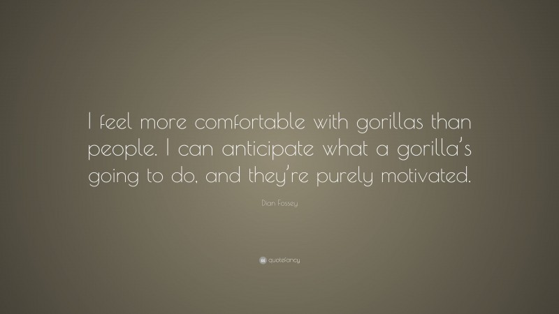 Dian Fossey Quote: “I feel more comfortable with gorillas than people. I can anticipate what a gorilla’s going to do, and they’re purely motivated.”