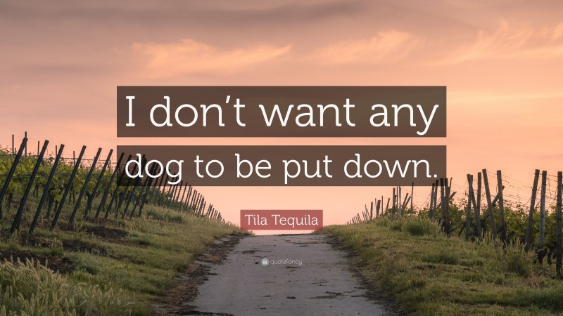 Tila Tequila Quote: “I don’t want any dog to be put down.”