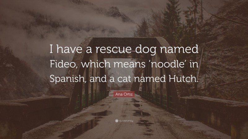 Ana Ortiz Quote: “I have a rescue dog named Fideo, which means ‘noodle’ in Spanish, and a cat named Hutch.”