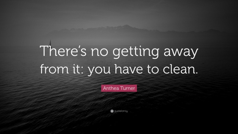 Anthea Turner Quote: “There’s no getting away from it: you have to clean.”