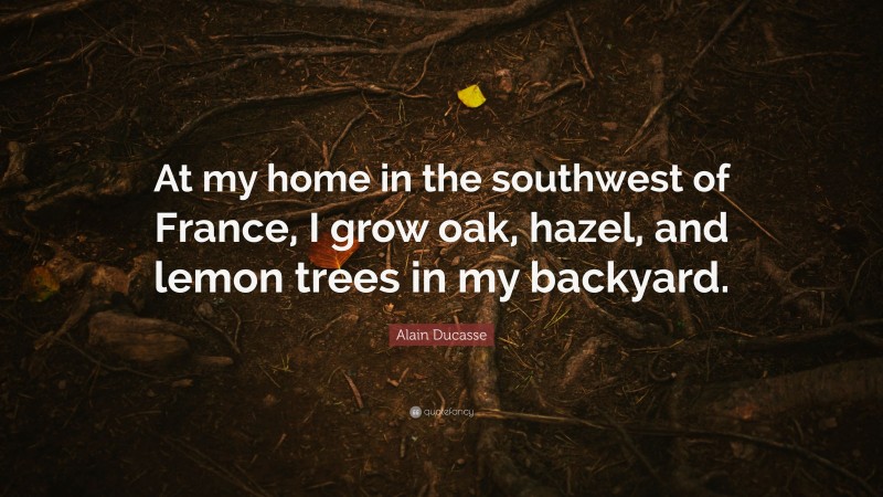 Alain Ducasse Quote: “At my home in the southwest of France, I grow oak, hazel, and lemon trees in my backyard.”