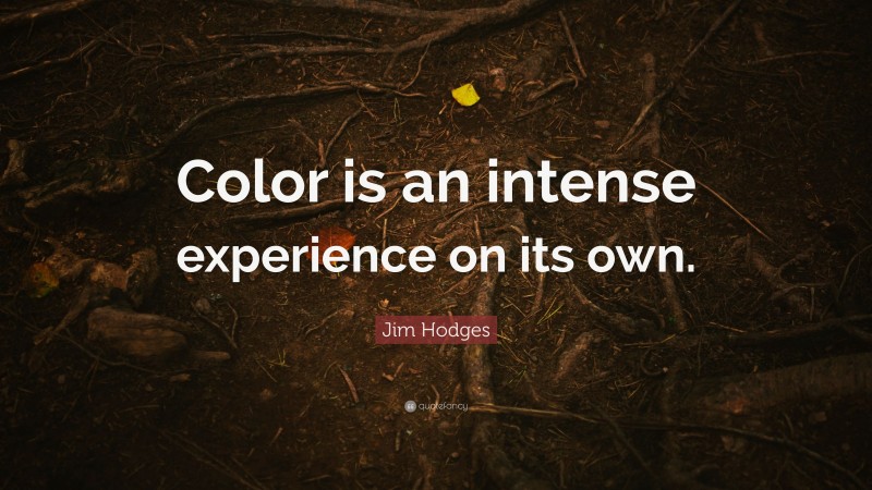 Jim Hodges Quote: “Color is an intense experience on its own.”