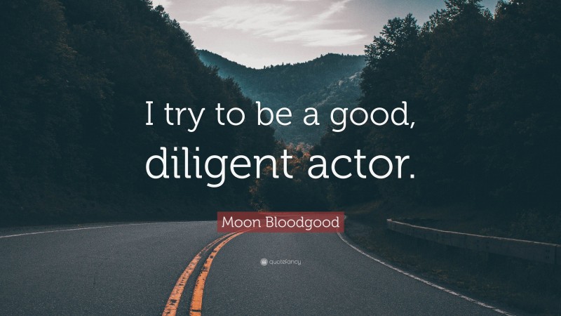 Moon Bloodgood Quote: “I try to be a good, diligent actor.”