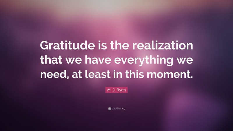 M. J. Ryan Quote: “Gratitude is the realization that we have everything we need, at least in this moment.”