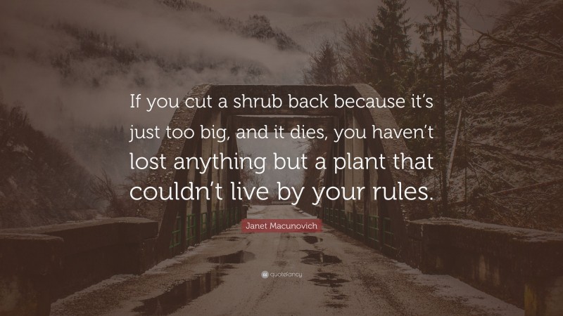 Janet Macunovich Quote: “If you cut a shrub back because it’s just too big, and it dies, you haven’t lost anything but a plant that couldn’t live by your rules.”