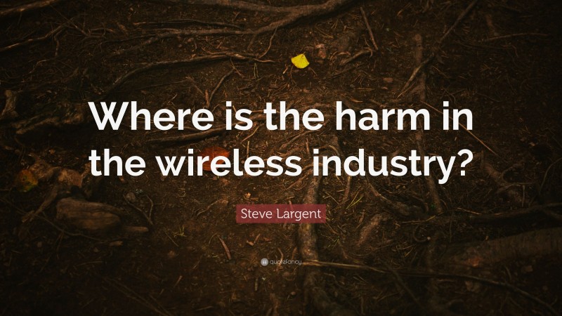 Steve Largent Quote: “Where is the harm in the wireless industry?”