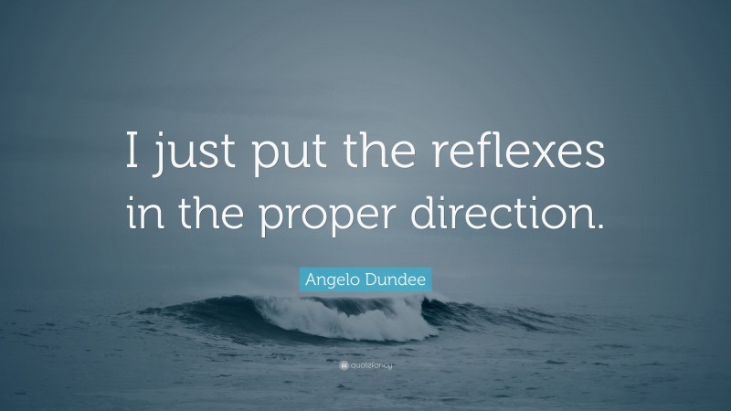 Angelo Dundee Quote: “I just put the reflexes in the proper direction.”