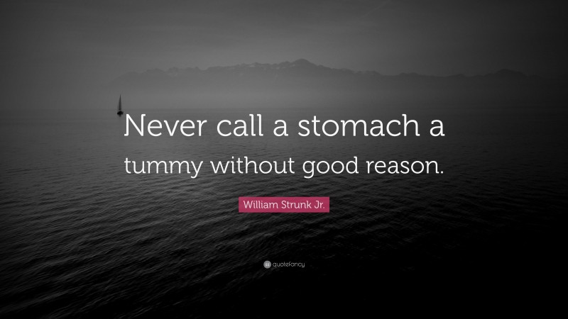 William Strunk Jr. Quote: “Never call a stomach a tummy without good reason.”