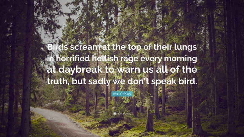 Kurt Cobain Quote: “Birds scream at the top of their lungs in horrified hellish rage every morning at daybreak to warn us all of the truth, but sadly we don’t speak bird.”