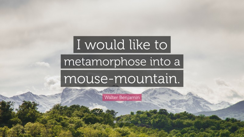 Walter Benjamin Quote: “I would like to metamorphose into a mouse-mountain.”