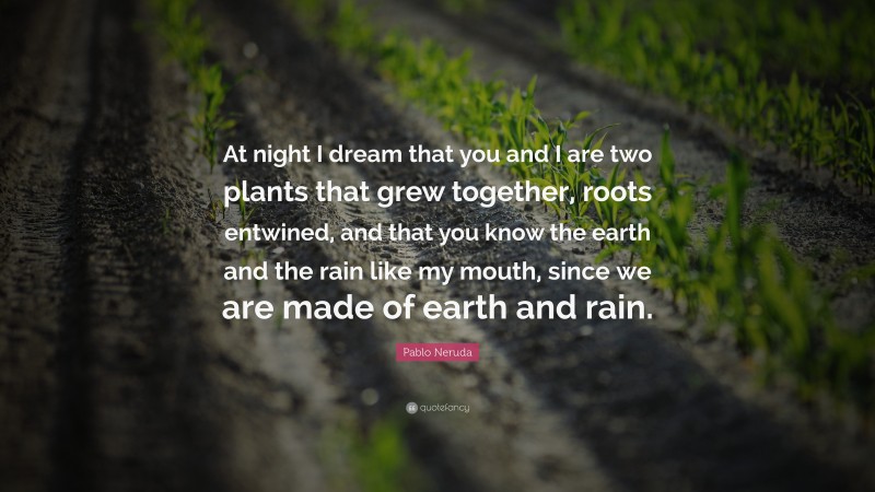 Pablo Neruda Quote: “At night I dream that you and I are two plants that grew together, roots entwined, and that you know the earth and the rain like my mouth, since we are made of earth and rain.”