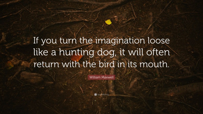 William Maxwell Quote: “If you turn the imagination loose like a hunting dog, it will often return with the bird in its mouth.”