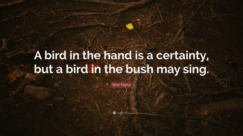 Bret Harte Quote: “A bird in the hand is a certainty, but a bird in the bush may sing.”