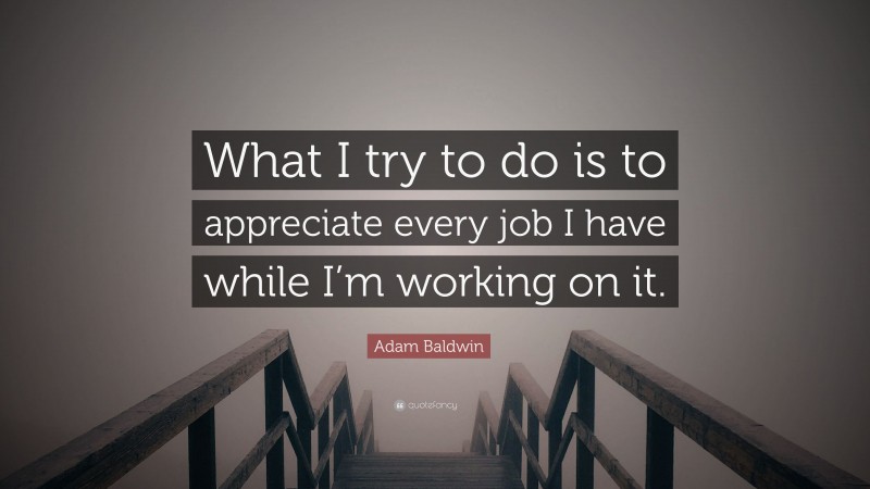 Adam Baldwin Quote: “What I try to do is to appreciate every job I have while I’m working on it.”