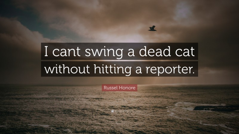 Russel Honore Quote: “I cant swing a dead cat without hitting a reporter.”