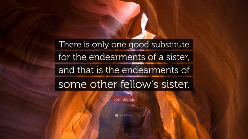 Josh Billings Quote: “There is only one good substitute for the endearments of a sister, and that is the endearments of some other fellow’s sister.”