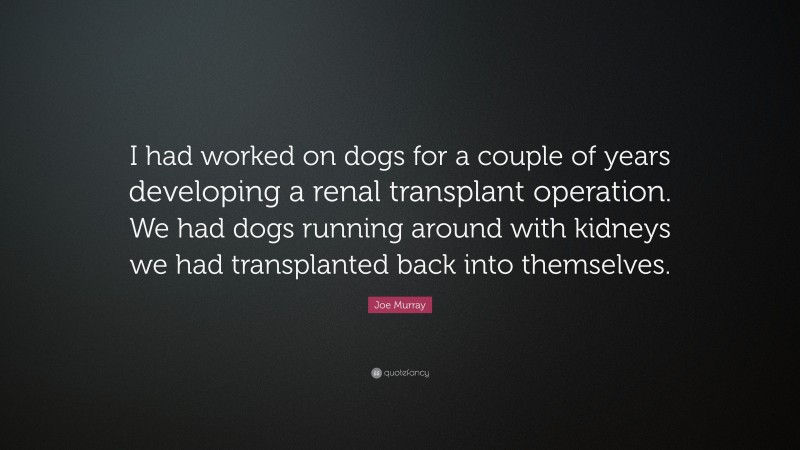 Joe Murray Quote: “I had worked on dogs for a couple of years developing a renal transplant operation. We had dogs running around with kidneys we had transplanted back into themselves.”