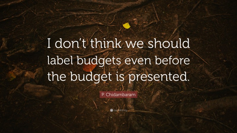 P. Chidambaram Quote: “I don’t think we should label budgets even before the budget is presented.”