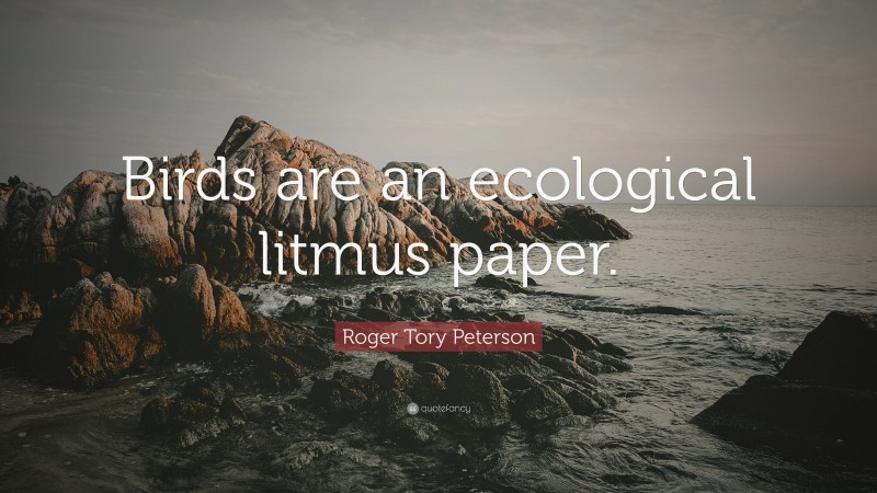 Roger Tory Peterson Quote: “Birds are an ecological litmus paper.”