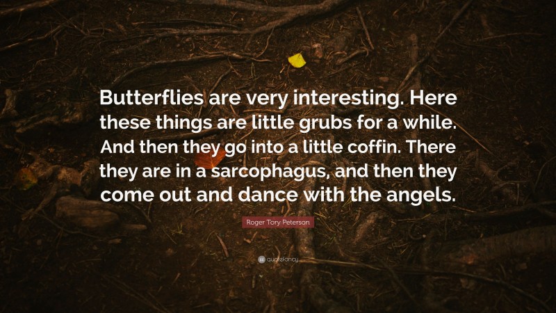 Roger Tory Peterson Quote: “Butterflies are very interesting. Here these things are little grubs for a while. And then they go into a little coffin. There they are in a sarcophagus, and then they come out and dance with the angels.”
