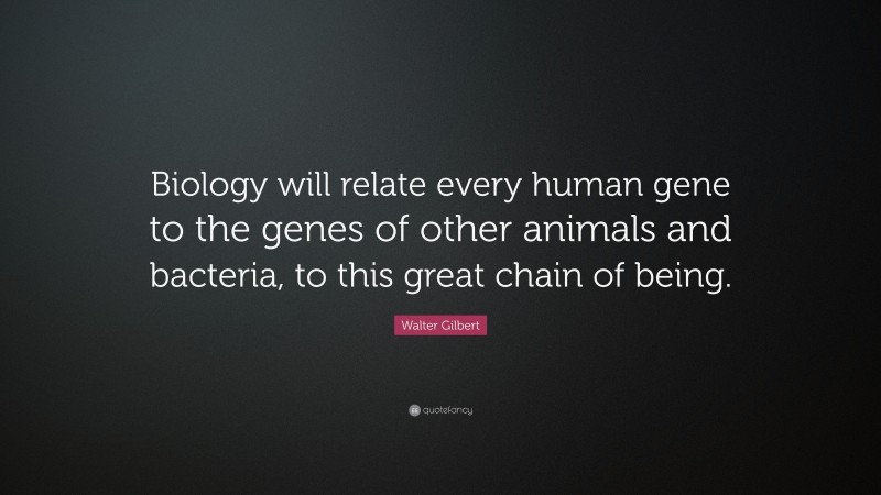 Walter Gilbert Quote: “Biology will relate every human gene to the genes of other animals and bacteria, to this great chain of being.”