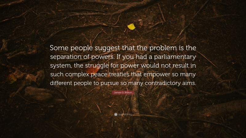 James Q. Wilson Quote: “Some people suggest that the problem is the separation of powers. If you had a parliamentary system, the struggle for power would not result in such complex peace treaties that empower so many different people to pursue so many contradictory aims.”
