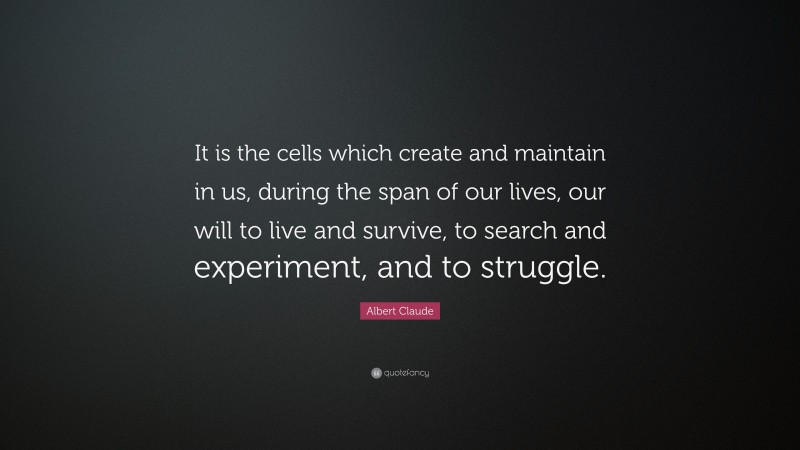 Albert Claude Quote: “It is the cells which create and maintain in us, during the span of our lives, our will to live and survive, to search and experiment, and to struggle.”