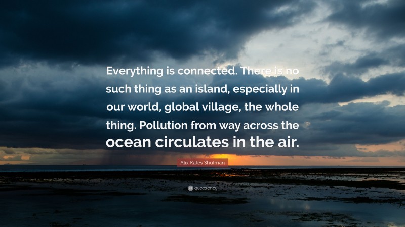 Alix Kates Shulman Quote: “Everything is connected. There is no such thing as an island, especially in our world, global village, the whole thing. Pollution from way across the ocean circulates in the air.”