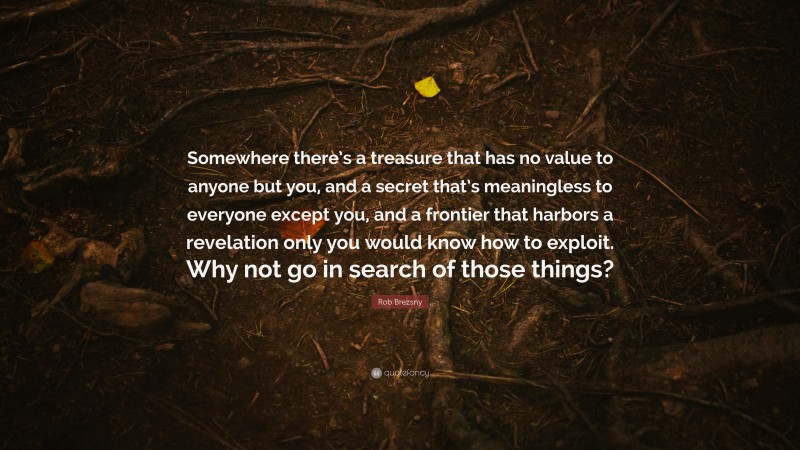 Rob Brezsny Quote: “Somewhere there’s a treasure that has no value to anyone but you, and a secret that’s meaningless to everyone except you, and a frontier that harbors a revelation only you would know how to exploit. Why not go in search of those things?”