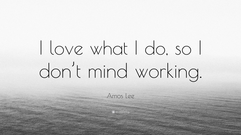 Amos Lee Quote: “I love what I do, so I don’t mind working.”