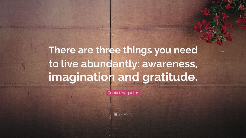 Sonia Choquette Quote: “There are three things you need to live abundantly: awareness, imagination and gratitude.”