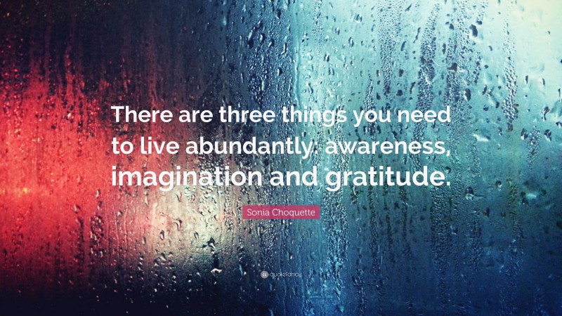 Sonia Choquette Quote: “There are three things you need to live abundantly: awareness, imagination and gratitude.”