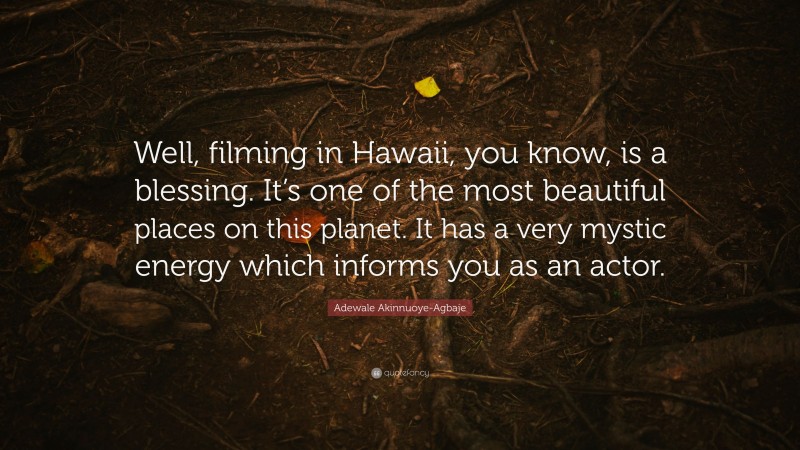 Adewale Akinnuoye-Agbaje Quote: “Well, filming in Hawaii, you know, is a blessing. It’s one of the most beautiful places on this planet. It has a very mystic energy which informs you as an actor.”