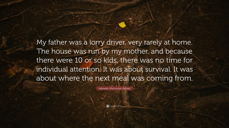 Adewale Akinnuoye-Agbaje Quote: “My father was a lorry driver, very rarely at home. The house was run by my mother, and because there were 10 or so kids, there was no time for individual attention. It was about survival. It was about where the next meal was coming from.”